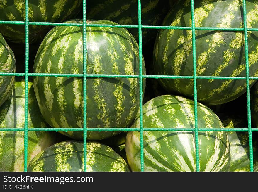 Watermelons