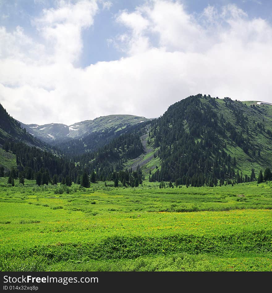 High mountain s summer view