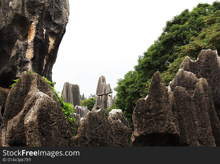 Stone Forest, China's National Park, Yunnan, China