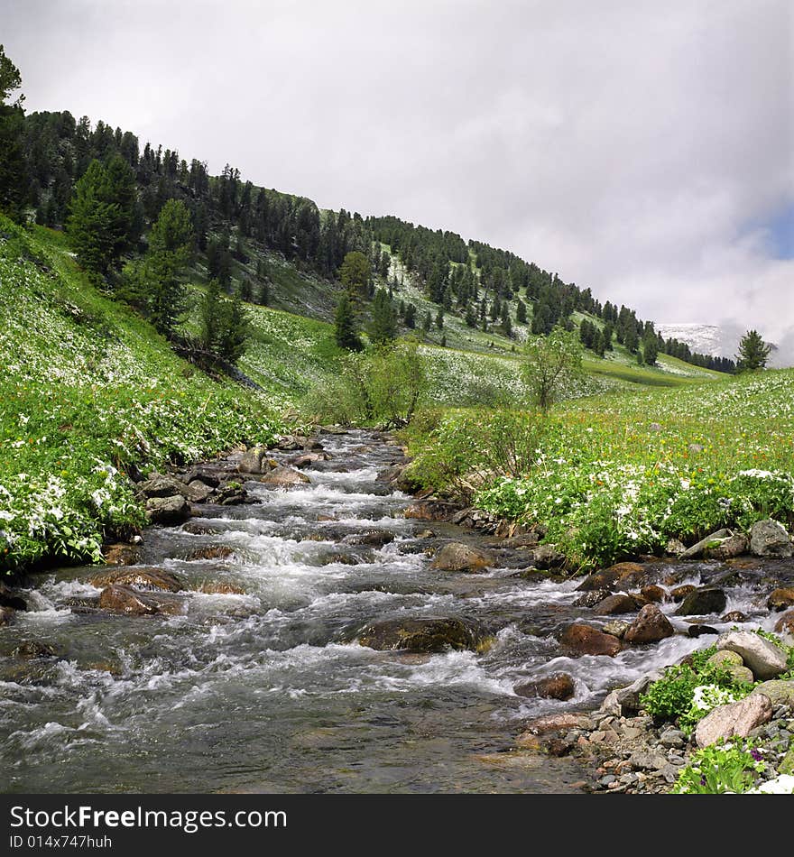 River Flow In High Mountains