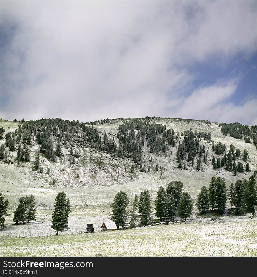 Snow in summer mountains of Altai
Pine wood, clouds and white snow