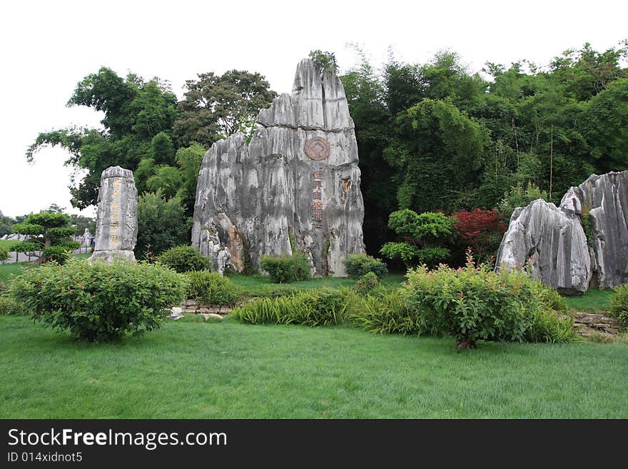 Stone forest