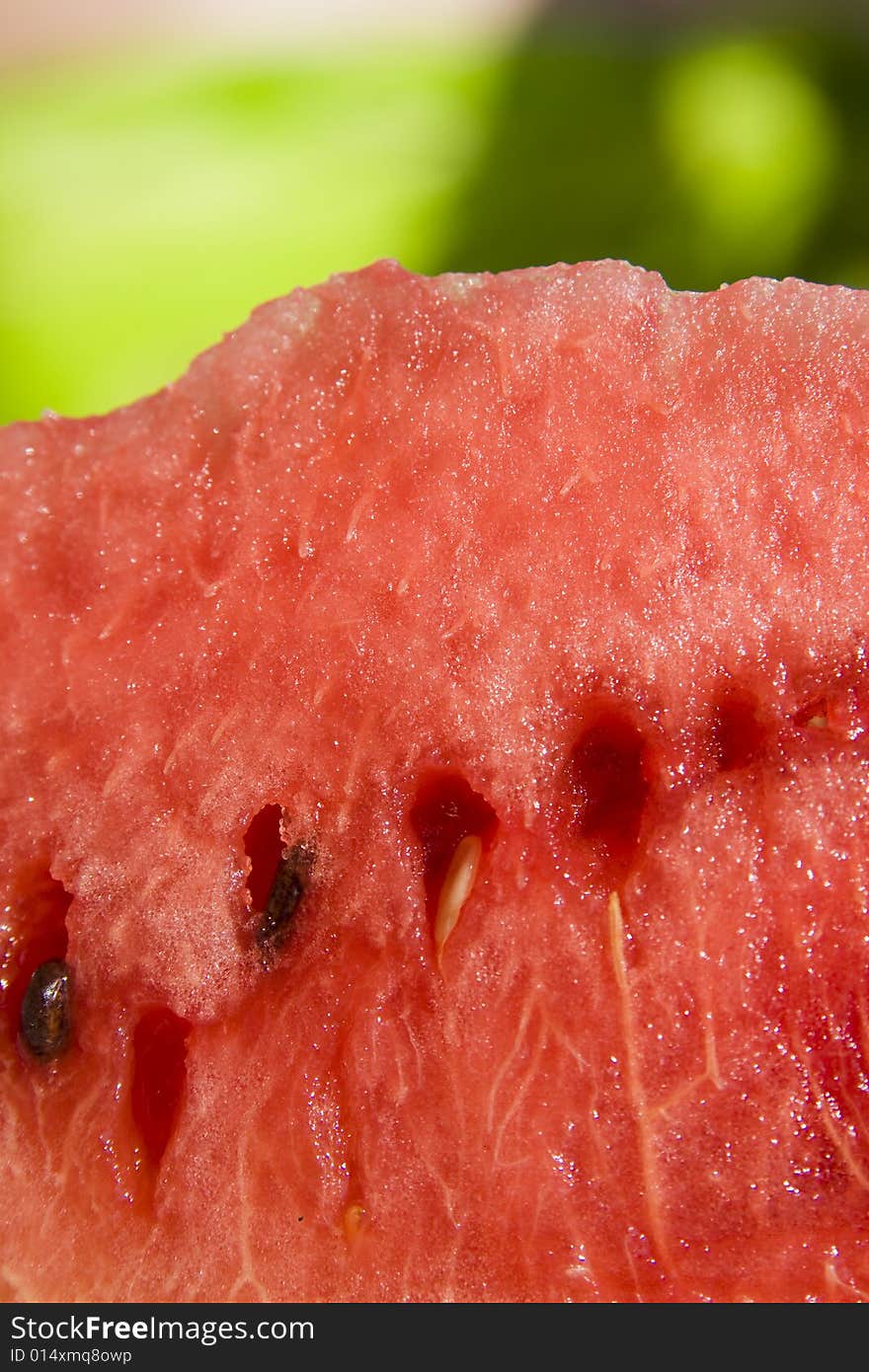 Slice of watermelon