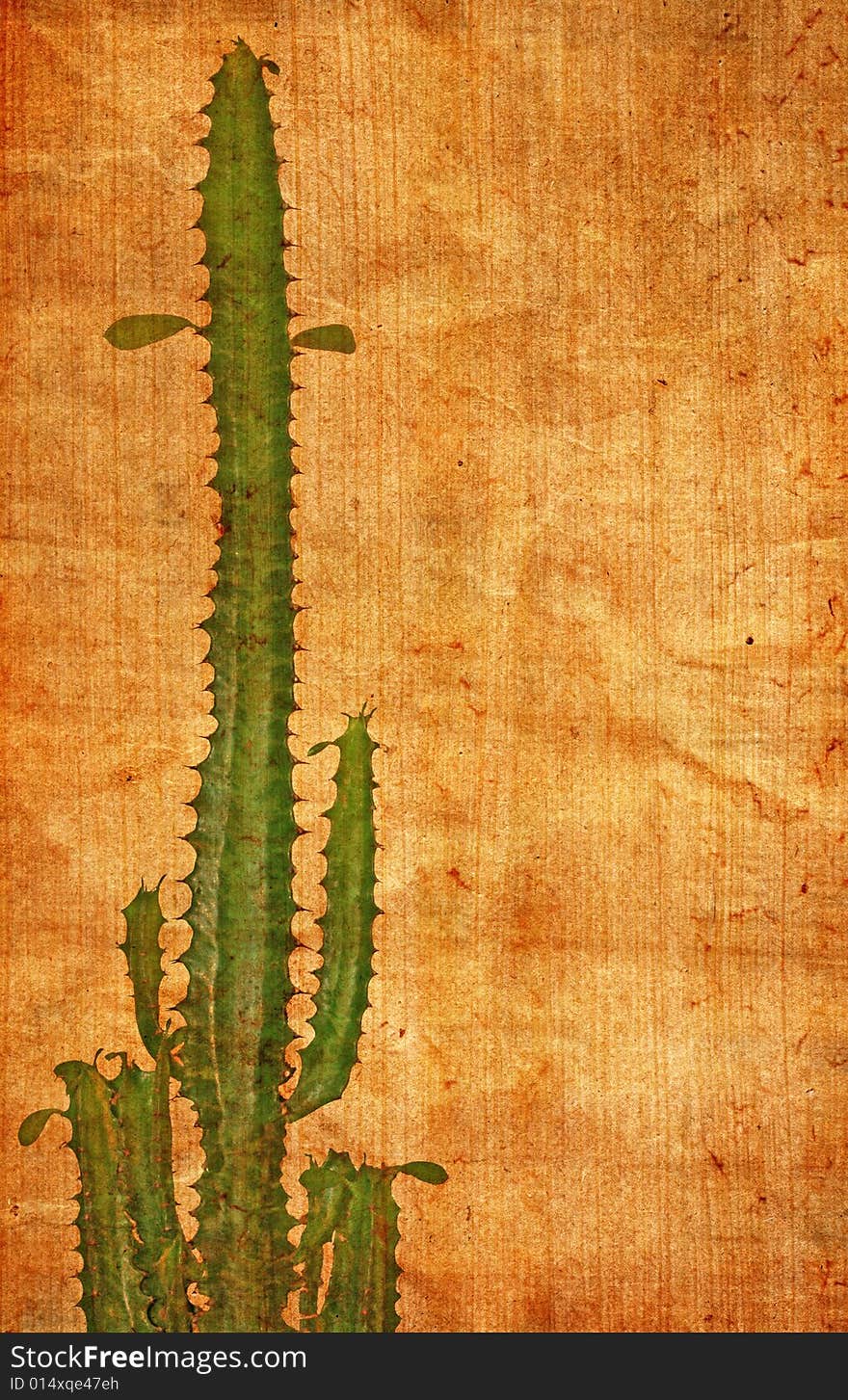 Abstract Paper Texture With Cactus