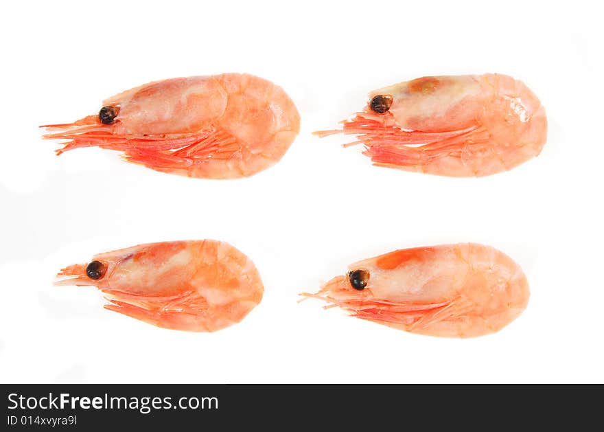 Four Prawns