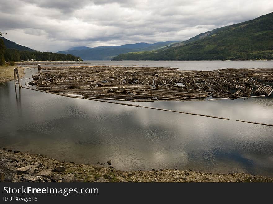 Logs On Shuswap Lake, Salmon Arm