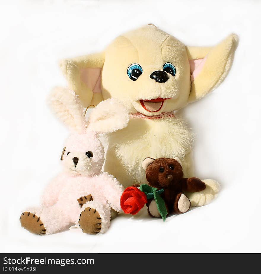 Dog, bunny and teddy on the foto. Dog, bunny and teddy on the foto