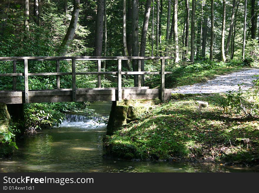 Wooden bridge in a park