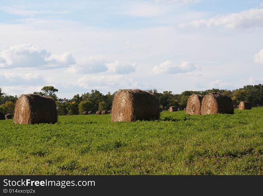 Hay bails sitting on green grass.