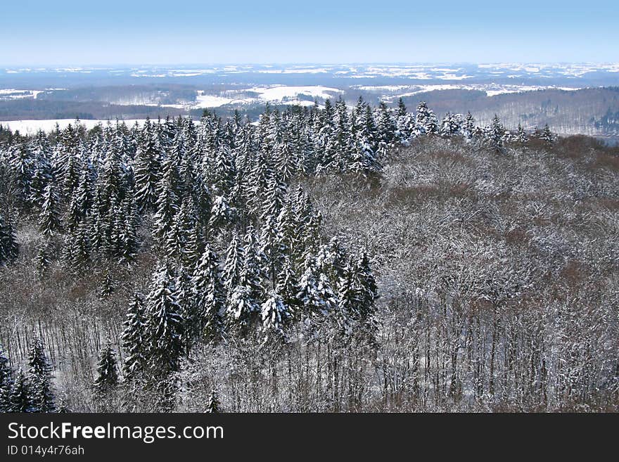 The photograph of the winter in the forest, the snow overlies trees. The photograph of the winter in the forest, the snow overlies trees