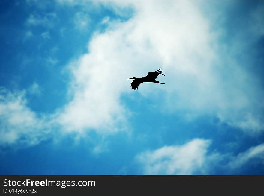 Black crane in the sky