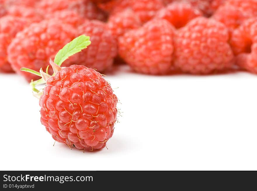 Fresh raspberry