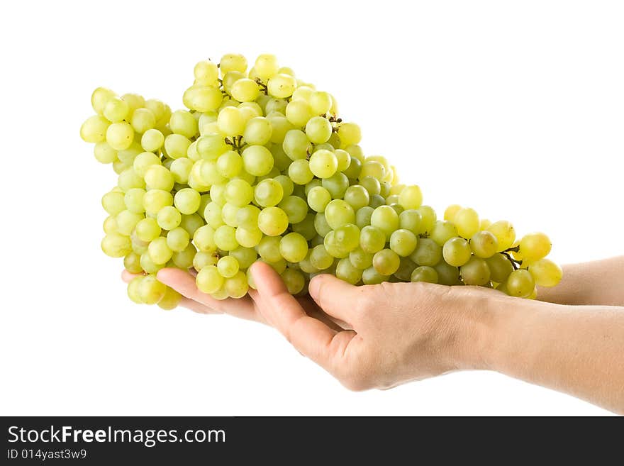 Fresh grapes