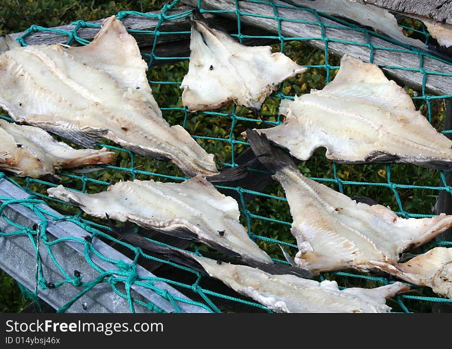 Drying Codfish