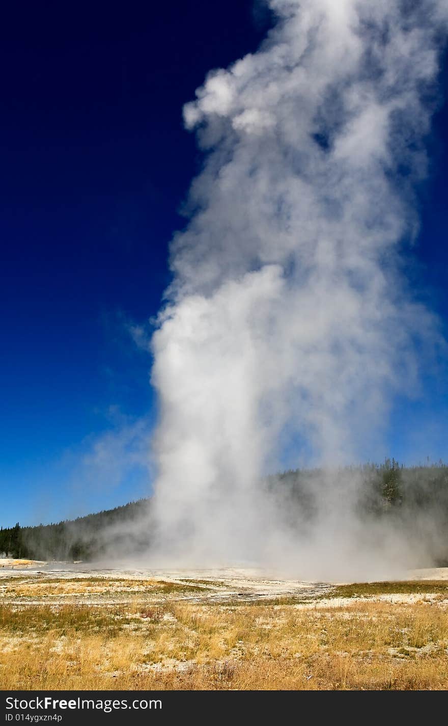 The Old Faithful Geyser in Yellowstone National Park