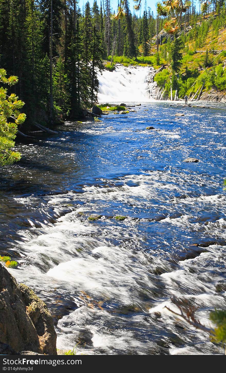 The Lewis Falls in the Yellowstone