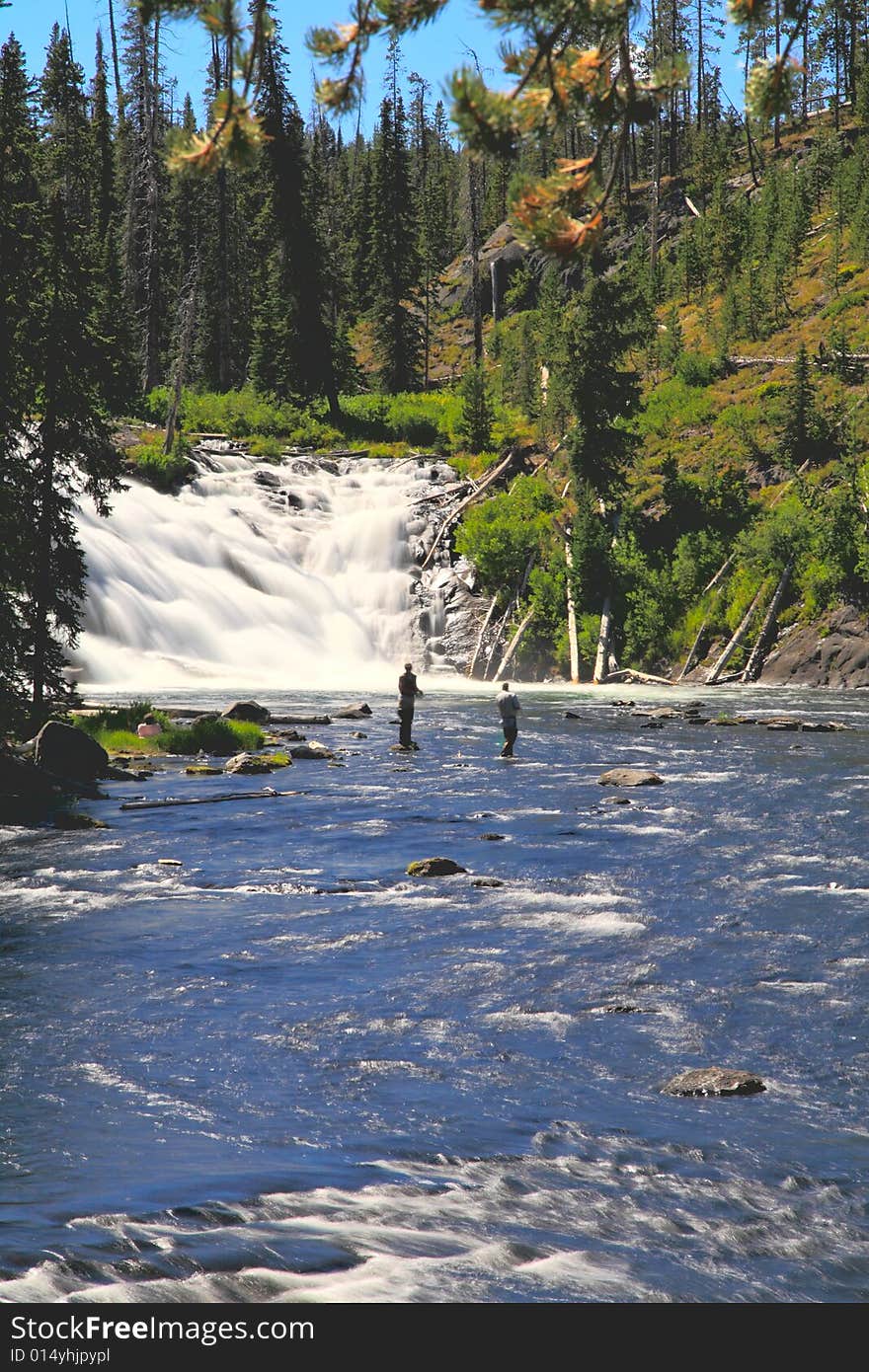 The Lewis Falls in the Yellowstone National Park