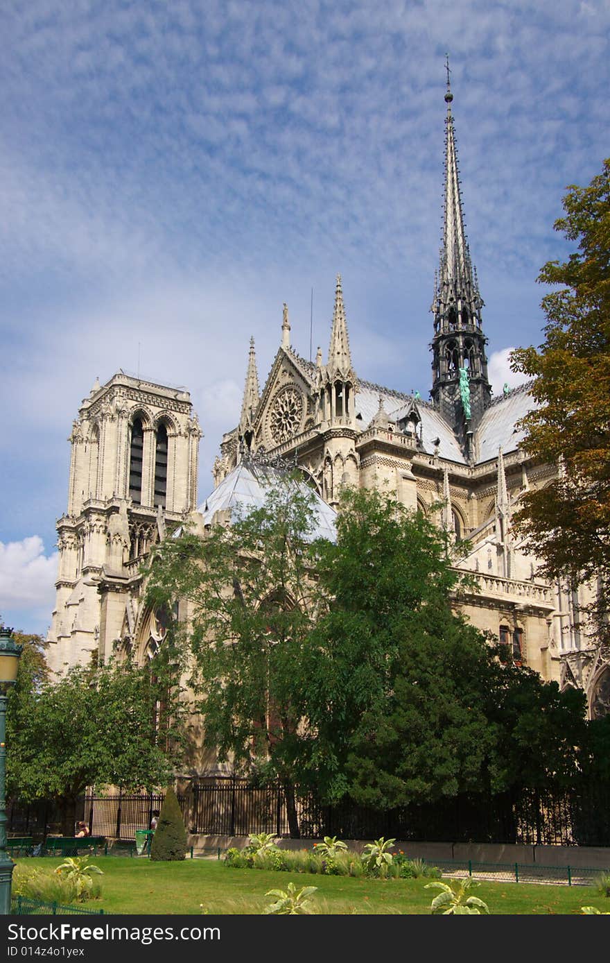 Notre Dame cathedral of Paris, vertical, blue sky and trees