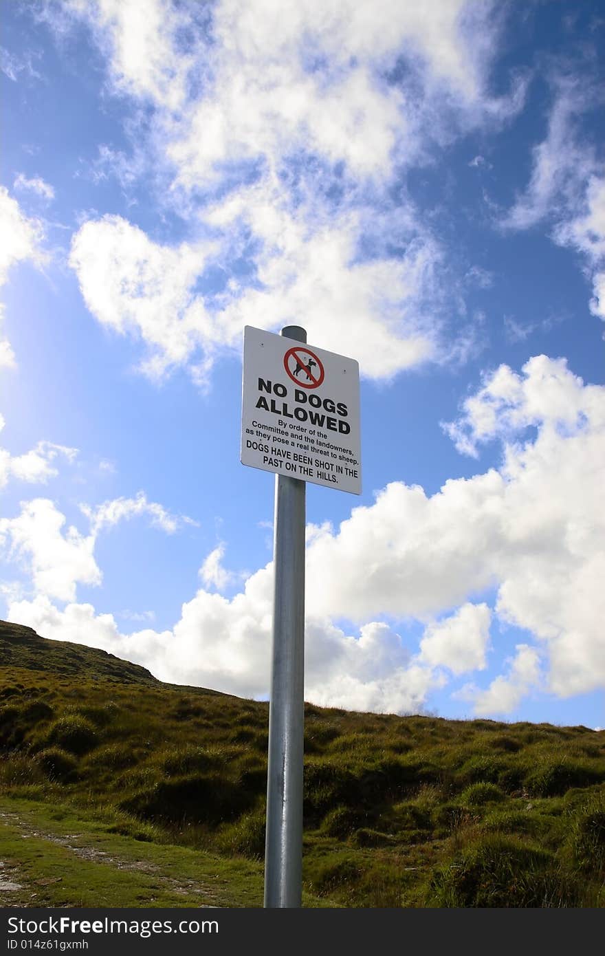 A no dogs allowed sign on a sheep farmers land. A no dogs allowed sign on a sheep farmers land