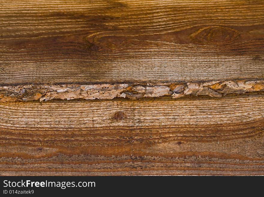 Wood texture