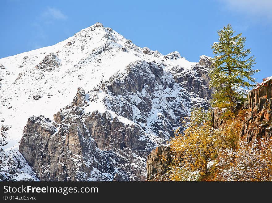 Mountain peak and larch at foreground