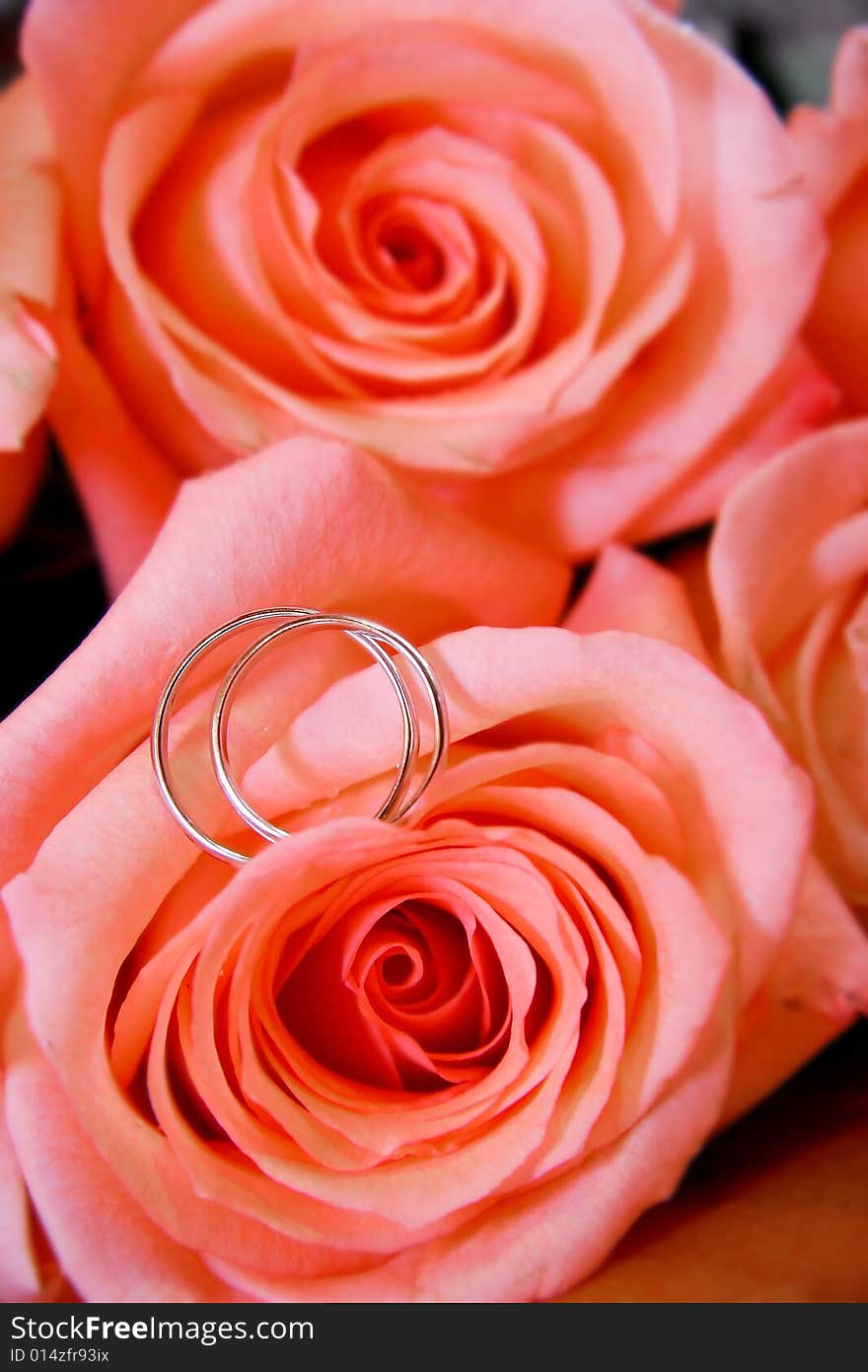 Wedding rings in rose bouquet