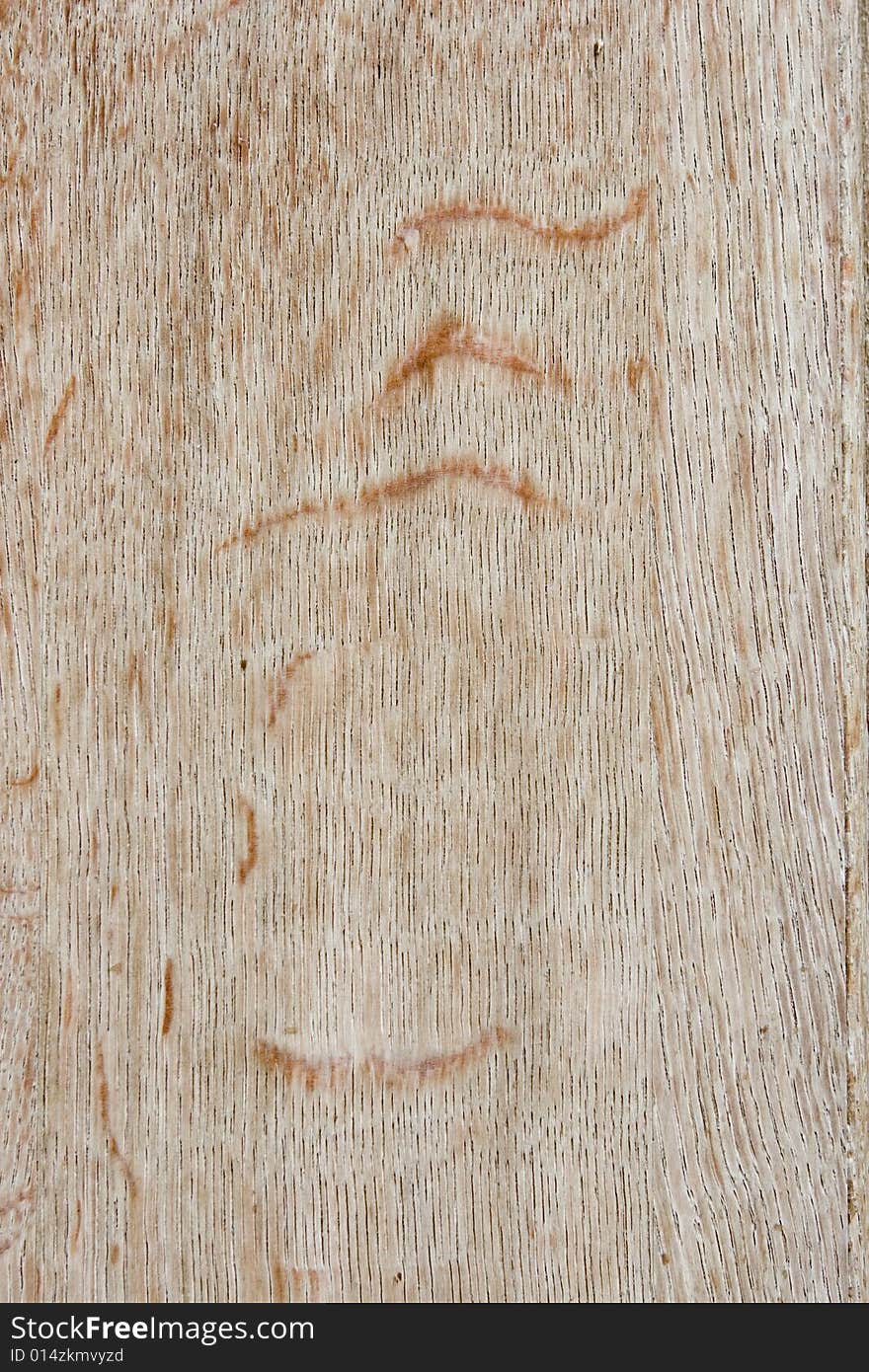 Background of old textured wood