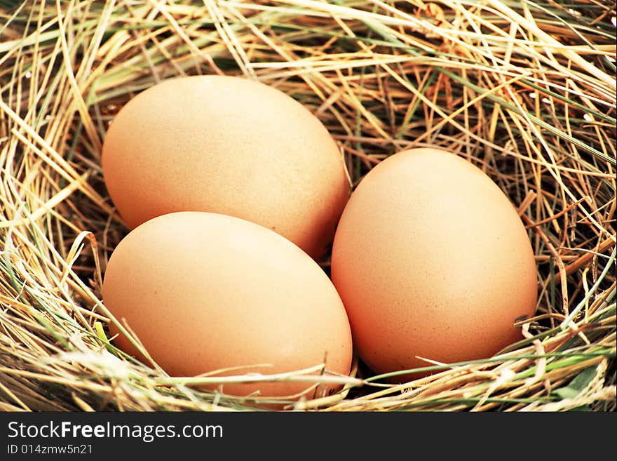 Eggs background. Shot in a studio. Eggs background. Shot in a studio.