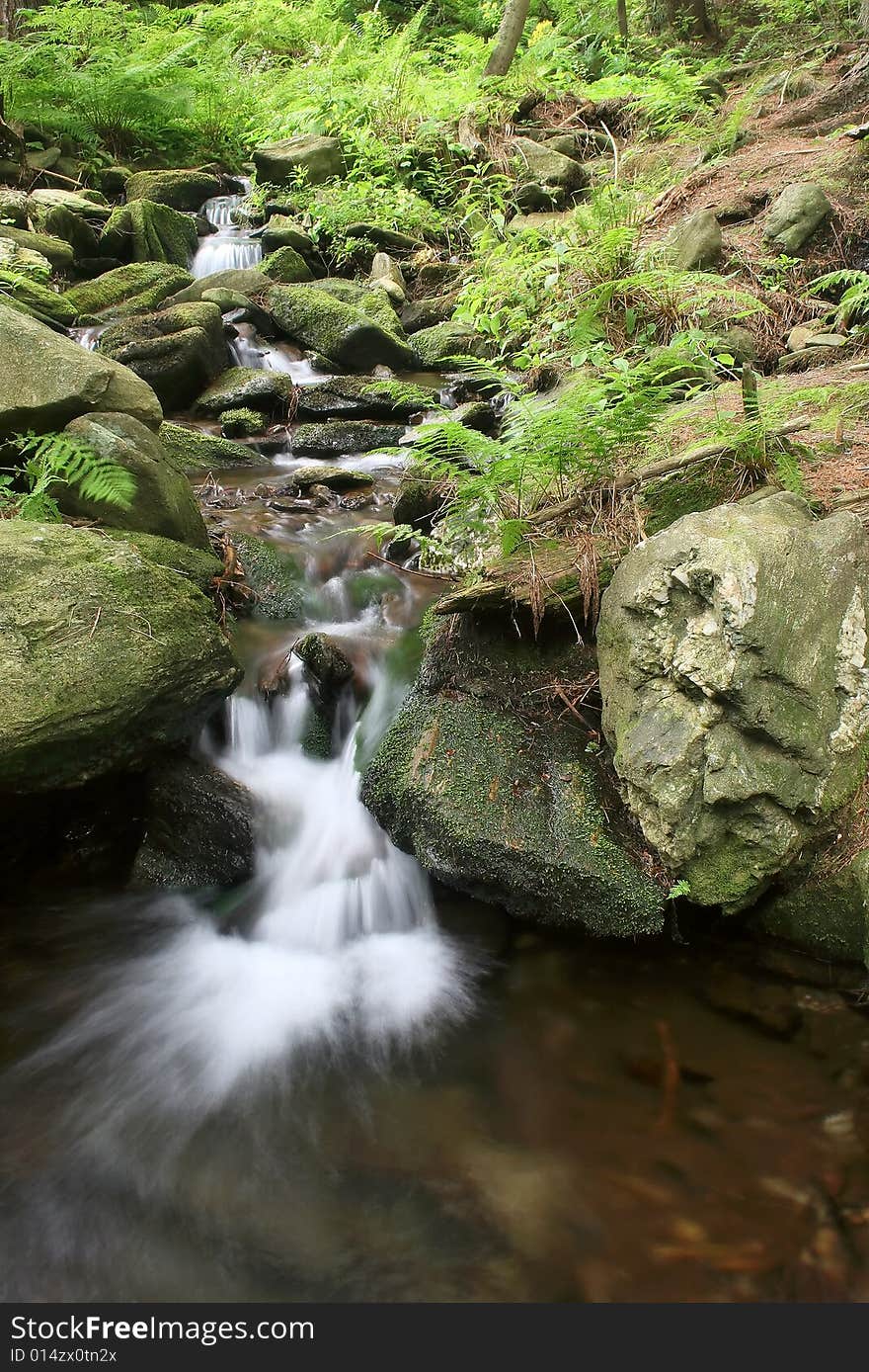 A little stream in czech mountains. A little stream in czech mountains