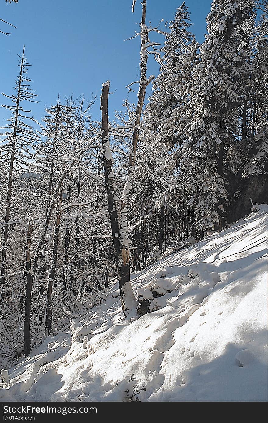 Winter nature of slovak country