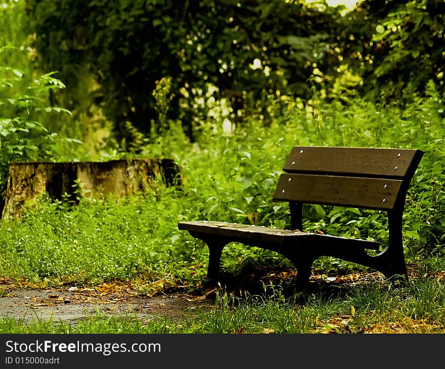 Old bench