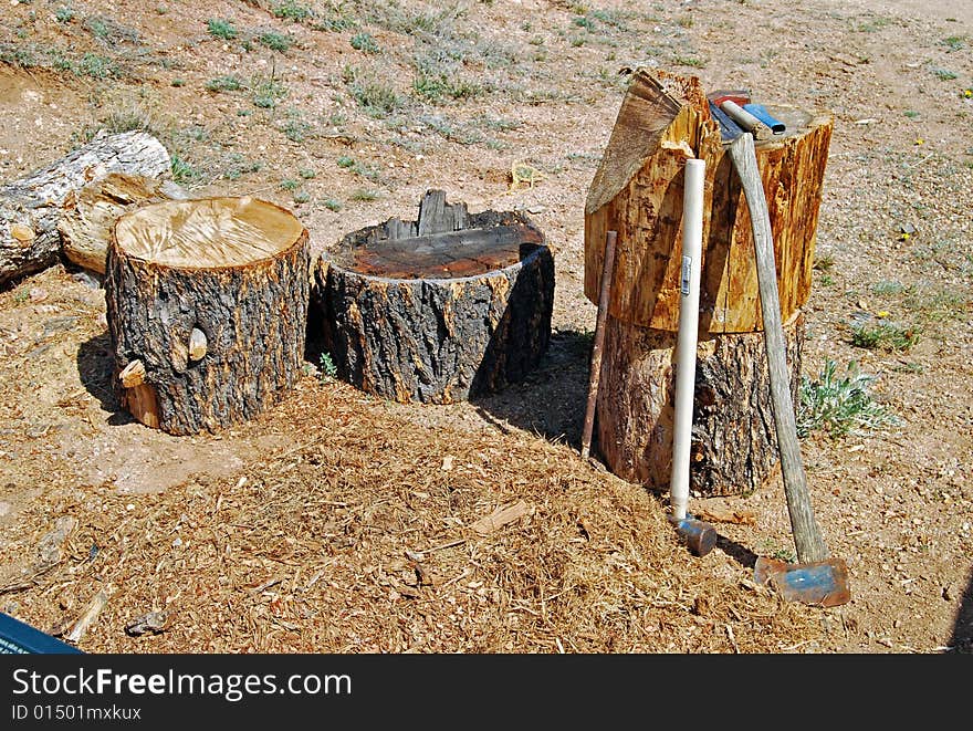 Getting ready to chop wood for the winter. Getting ready to chop wood for the winter.