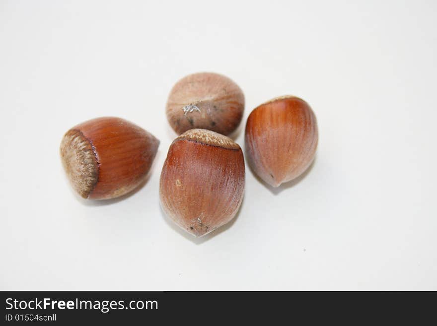 Hazel nut