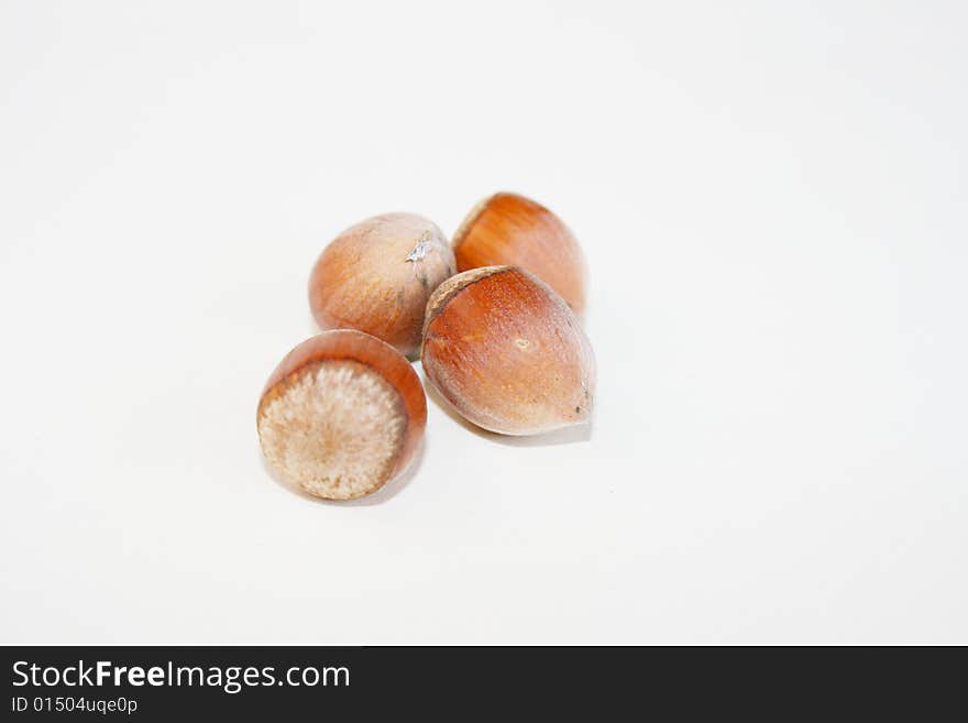 Hazel nut on the white background