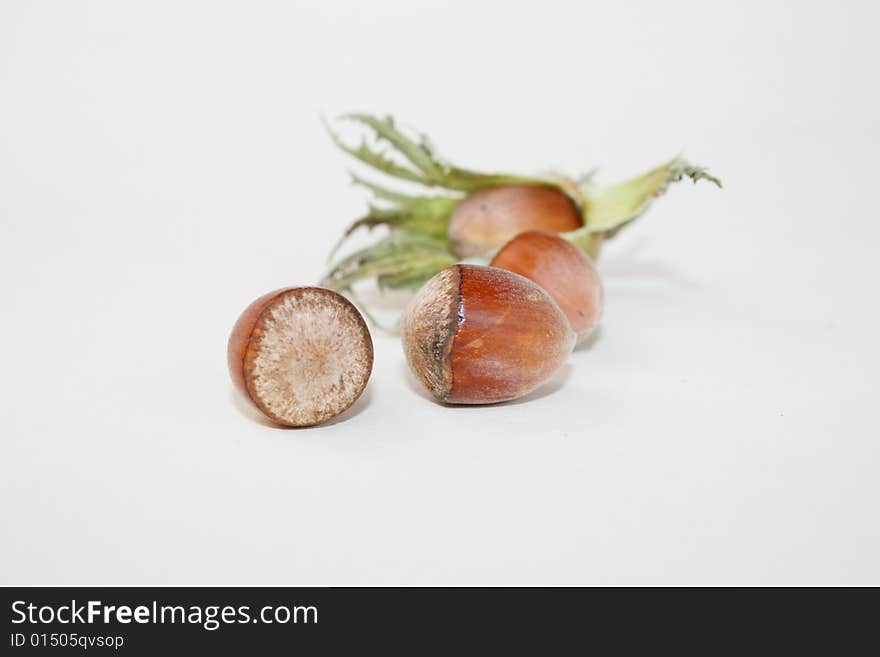 Hazel nut on the white background