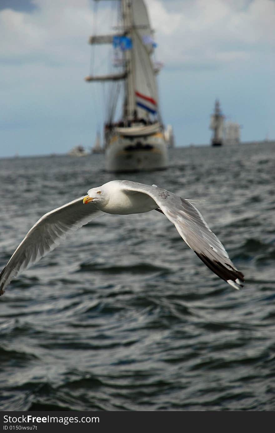 Shot on the north sea near Texel island in holland. Shot on the north sea near Texel island in holland