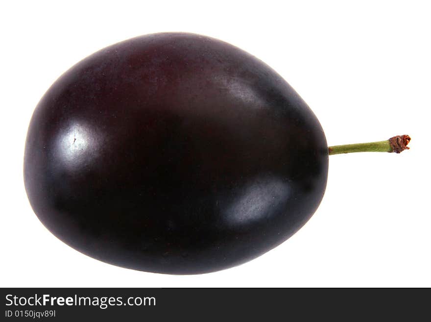 Single Plum