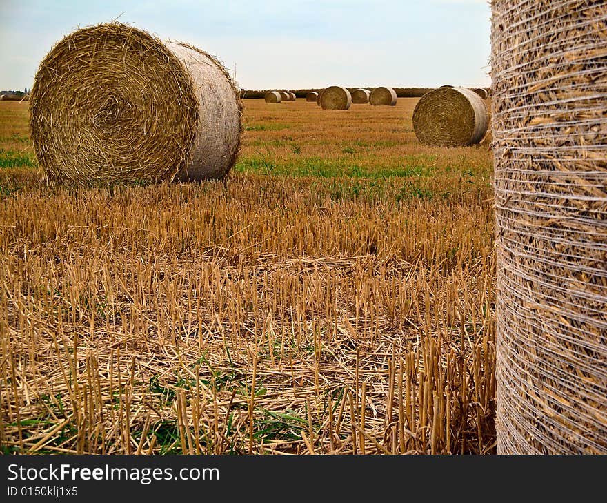 Field in the autumn season. Field in the autumn season