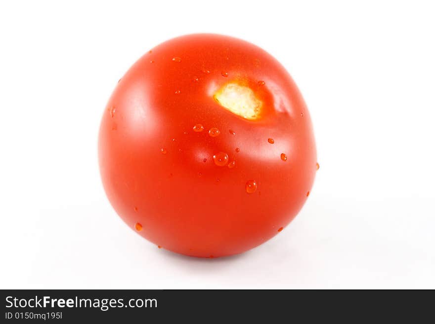 Tomato