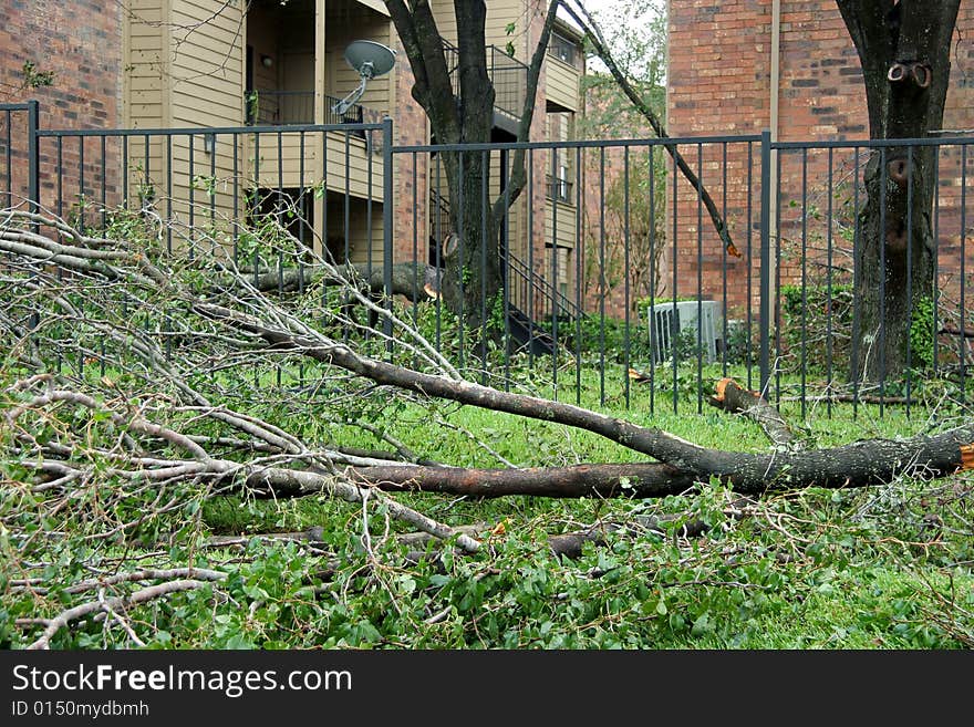 Several trees down in front of a apartment from Hurricane Ike. Several trees down in front of a apartment from Hurricane Ike