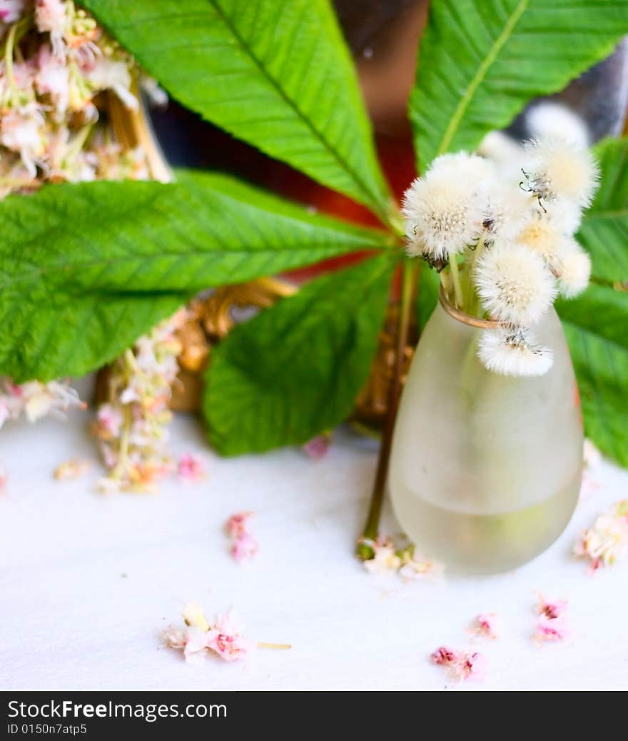 Dandelions In Vase And Leaf