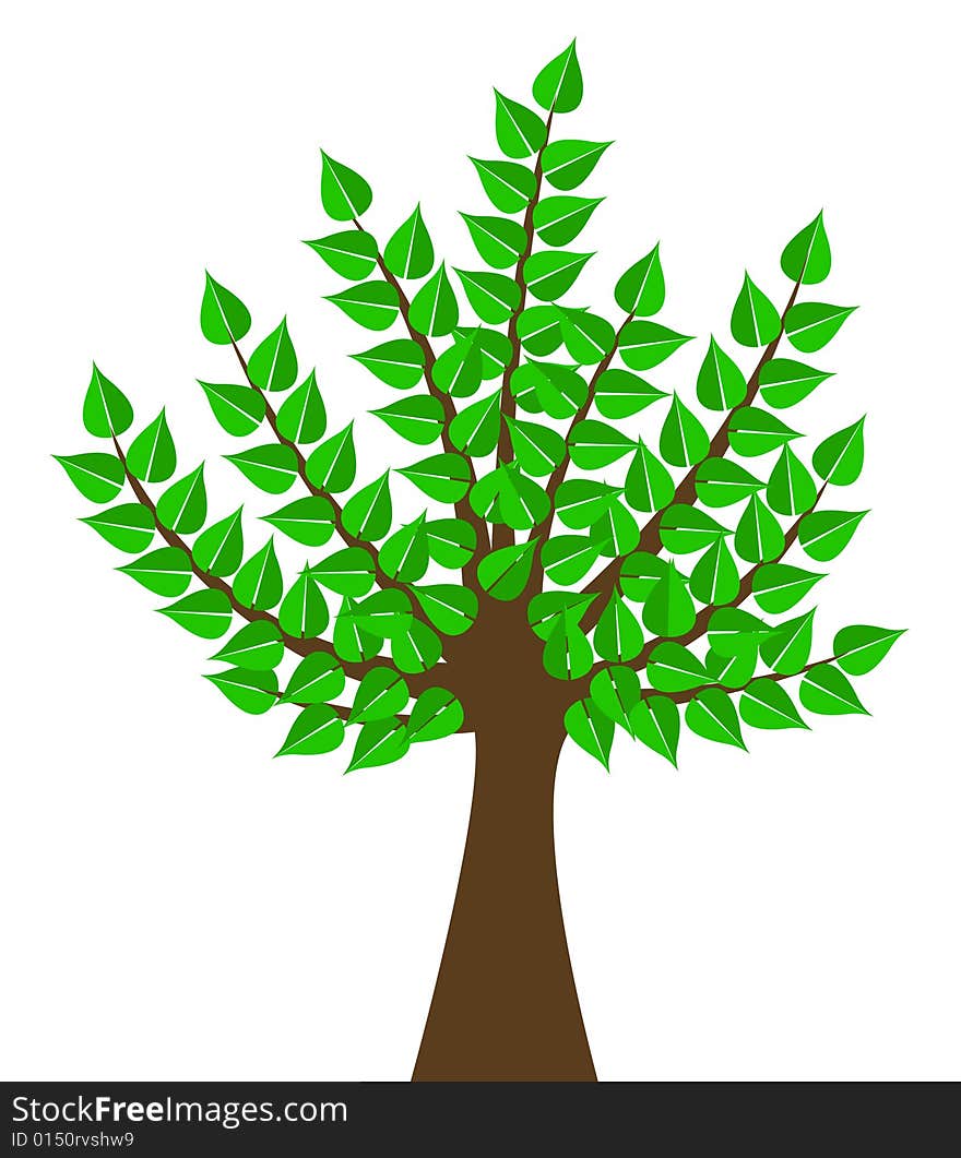 Green tree. A vector illustration