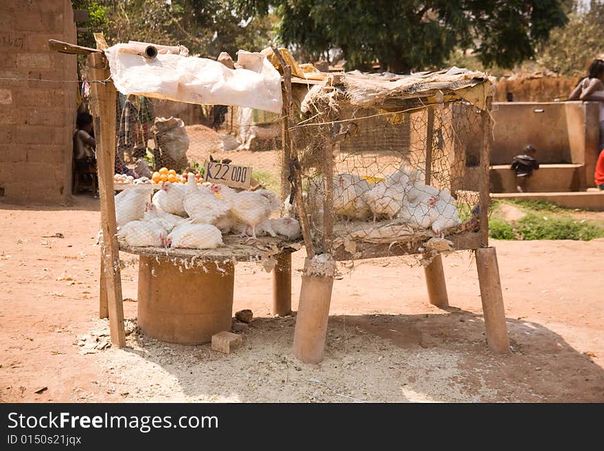 Chickens for sale on a roadside stall Zambia Africa