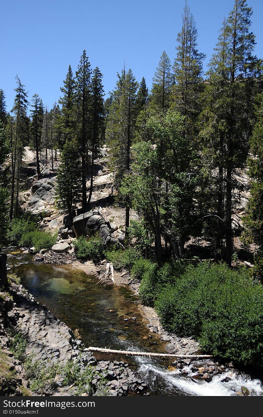 Beautiful creek in the mountain forest. Beautiful creek in the mountain forest