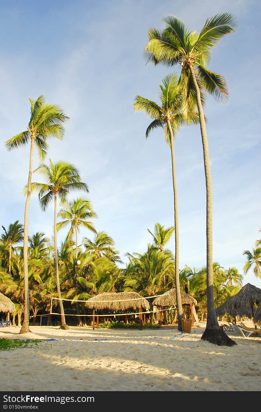 Volleyball net on the sand beach, with palm trees against a blue sky. Volleyball net on the sand beach, with palm trees against a blue sky