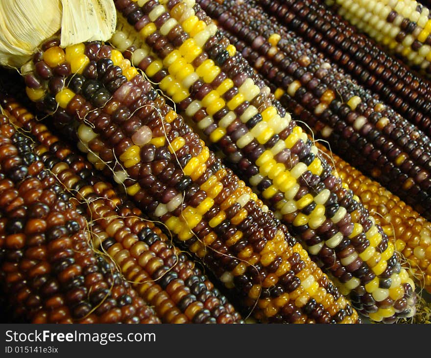 A close up of indian corn