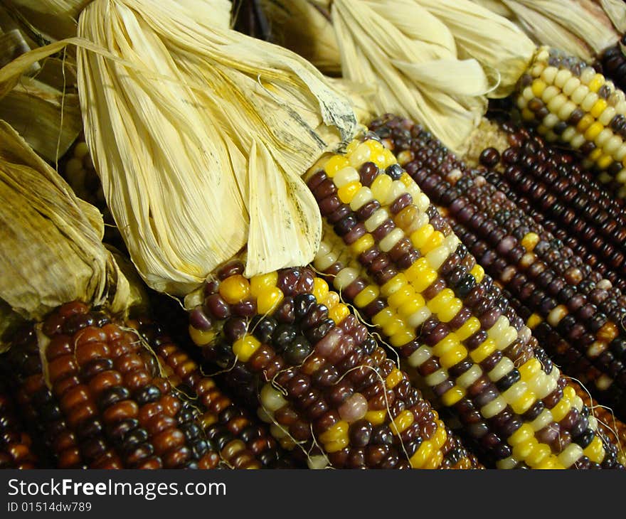 A close up of indian corn