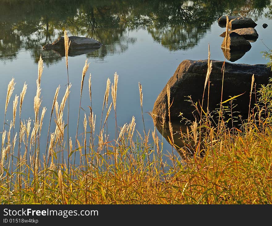 Rural fall landscape with fine forest lake and trees reflections in the water. Rural fall landscape with fine forest lake and trees reflections in the water