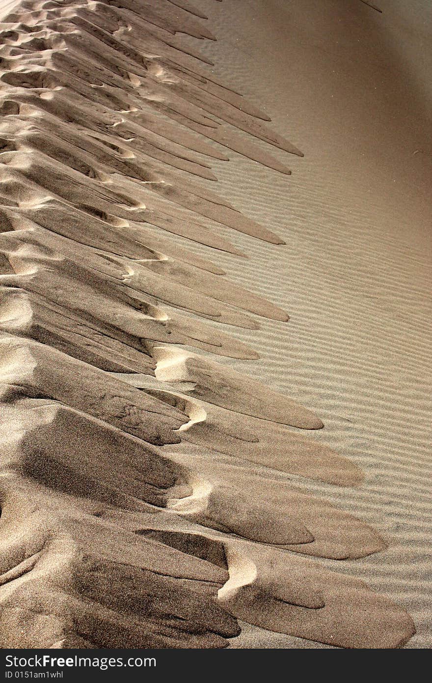 Pattern of indentations left from footprints on top of ridge of sand dune. Pattern of indentations left from footprints on top of ridge of sand dune