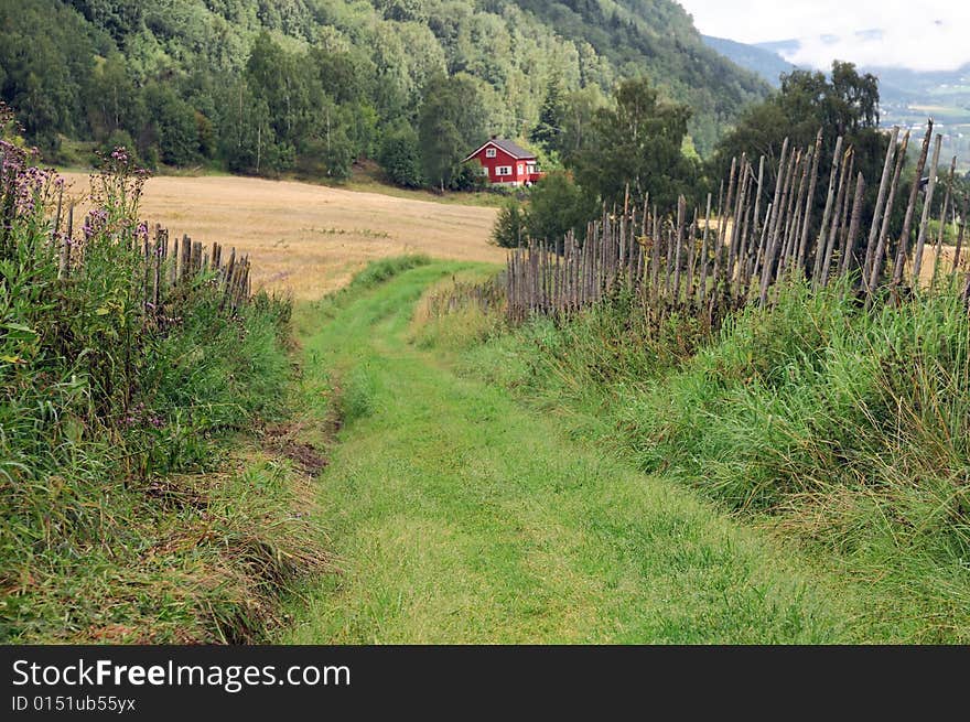 The old country road and old wood fence.